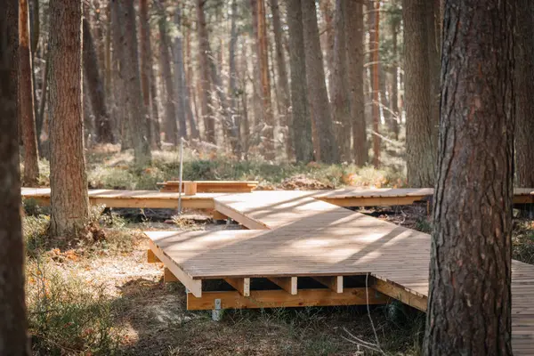 İnşaat altındaki ahşap bir tahta kaldırım, güneşli bir orman boyunca kıvrımlı, metal vida yığınları üzerinde yükseltilmiş, görünür iskeleti ve etrafındaki çam ağaçları ile.