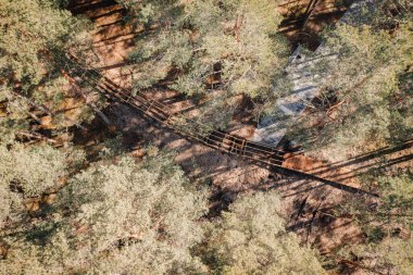 Yoğun bir çam ormanının içinde yapım aşamasındaki dolambaçlı ahşap kaldırım manzarası. Ağaç gölgeleri ve kumlu toprak doğaya hükmediyor..
