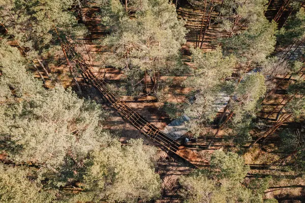Yoğun bir çam ormanının içinde yapım aşamasındaki dolambaçlı ahşap kaldırım manzarası. Ağaç gölgeleri ve kumlu toprak doğaya hükmediyor..