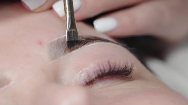 Bir güzellik uzmanının profesyonel kaş şekillendirme ve renklendirme oturumu sırasında düz bir fırça kullanarak müşterinin kaşına boya sürerken yakın plan fotoğrafı..