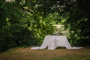 Ağaçların altına kurulmuş romantik bir masa örtüsü, şampanya şişesi ve bardaklar, doğada bir kutlama için mükemmel..