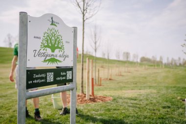 Sigulda, Letonya - 19 Nisan 2025 - Reinis Golf Kulübü 'nde Vstjumu aleja yazılı bir tabela, arka planda genç ağaçların sıralandığı 2024 yılından kalma bir ağaç dikme alanını gösteriyor