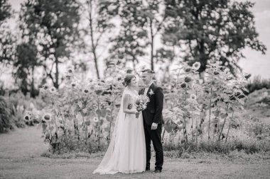 Gelin ve damat, siyah beyaz bir fotoğrafta ayçiçeği tarlasının önünde sevgiyle dururlar. Huzurlu ve romantik kırsal bir düğün sahnesi.