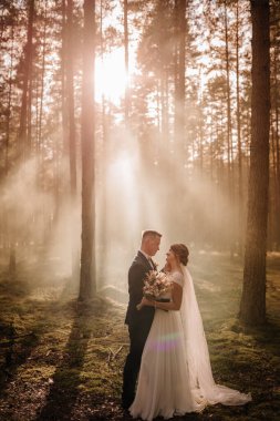 Bir gelin ve damat, altın güneş ışınları ve yumuşak sisle yıkanmış bir ormanda birbirlerine sevgiyle bakıyorlar. Rüya gibi ve romantik bir düğün anını yakalıyorlar..