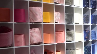 Valmiera, Letonya - 23 Nisan 2025 - Pembe, sarı, gri ve mavi tonlarda parlak renkli kravatlar bir mağaza duvarındaki beyaz ızgara ekranında düzgünce dizilmiş.