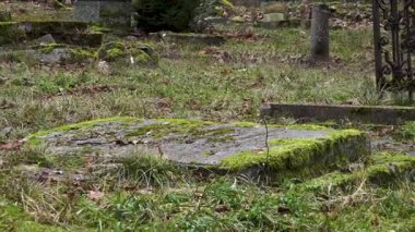 Cesis, Letonya - Ekim 12, 2024 - Eski, yosun kaplı düz bir mezar taşı kuru çimenler ve düşen yapraklar ile sakin, sonbahar sonu ayarı.