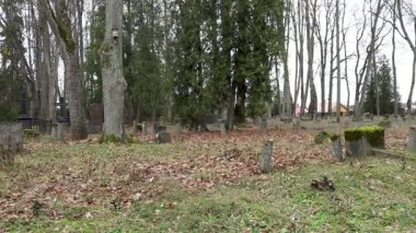 Cesis, Letonya - 12 Ekim 2024 - Sakin bir orman ortamında çıplak ağaçlar ve kozalaklılarla çevrili yıpranmış mezar taşları ve sonbahar yapraklarıyla eski kırsal mezarlık.