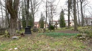 Cesis, Letonya - Ekim 12, 2024 - Bulutlu bir günde arka planda uzun ağaçlar ve kentsel binalar tarafından çerçevelenmiş yıpranmış mezar taşları ve aşırı gelişmiş yamalarla eski mezarlık.