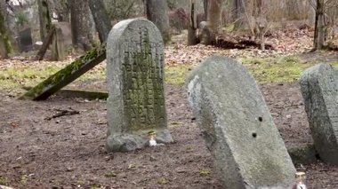 Cesis, Letonya - Ekim 12, 2024 - Sonbaharın sonlarında, sessiz, ormanlık bir Yahudi mezarlığında, üslerinde yanan bir mum bulunan, İbranice yazılmış yaşlandırılmış mezar taşlarının yakın çekimi.