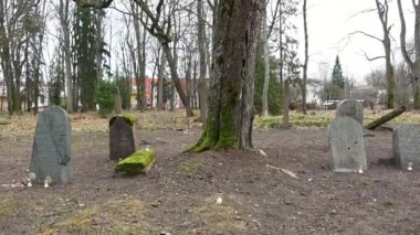 Cesis, Letonya - Ekim 12, 2024 - Üste yosunlu mezar taşları ve anıtsal mumları olan, uzaktaki yapraksız ağaçlar ve binalarla çevrili eski bir Yahudi mezarlığının geniş görüşü.