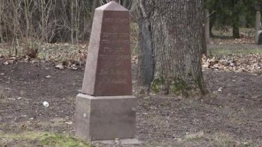 Cesis, Letonya - Ekim 12, 2024 - İbranice ve Latince yazıtları olan kırmızı granit bir mezar taşı, temelinde bir mum bulunan sessiz bir orman mezarlığında bir ağacın yanında duruyor..