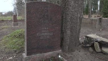 Cesis, Letonya - Ekim 12, 2024 - Kozus Blumbergs için koyu granit mezar taşı, 18901918 tarihli, bir ağacın yanındaki Yahudi mezarlığında..