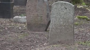 Cesis, Letonya - Ekim 12, 2024 - Sakin bir orman mezarlığında yosun ve yapraklarla çevrili soluk İbrani yazıtları olan iki yıpranmış Yahudi mezar taşına yakın çekim.