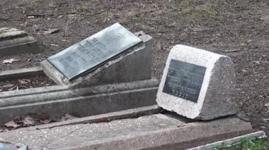 Cesis, Letonya - Ekim 12, 2024 - Csis 'te iki Yahudi mezar taşı, Latviaone' da bir Davut Yıldızı, diğeri ise yaşlanmış, sessiz bir mezarlıkta İbranice yazı seti ile dik..