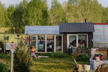 Smiltene, Letonya - 17 Mayıs 2025 - Bahçe cüceleri, dekorlar ve çiçeklerle dolu kırsal sera güneşli bir bahar gününde bir orman zemininin önünde..