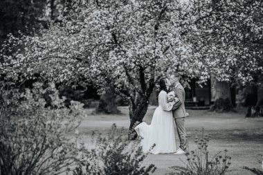 Gelin ve damat, tek renkli bahçe sahnesinde çiçek açan bir ağacın altında nazikçe öpüşürler. Düğün günlerinde romantik bir anı yakalarlar..
