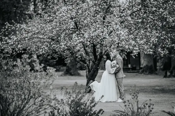 Gelin ve damat, tek renkli bahçe sahnesinde çiçek açan bir ağacın altında nazikçe öpüşürler. Düğün günlerinde romantik bir anı yakalarlar..