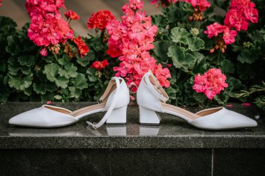 Riga, Letonya - 25 Temmuz 2025 - Aralarına pırlanta yüzük takılmış şık beyaz gelinlik ayakkabıları, canlı pembe sardunya çiçeklerine karşı sergileniyor.