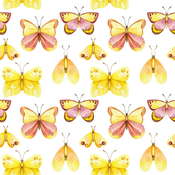 Watercolor Yellow Butterfly Seamless Pattern White Isolated Background Botanical Background — Stock Photo, Image