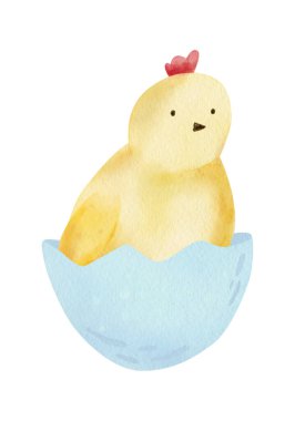 Cartoon chicken easter illustration for decoration design. Digital watercolor. Happy holiday