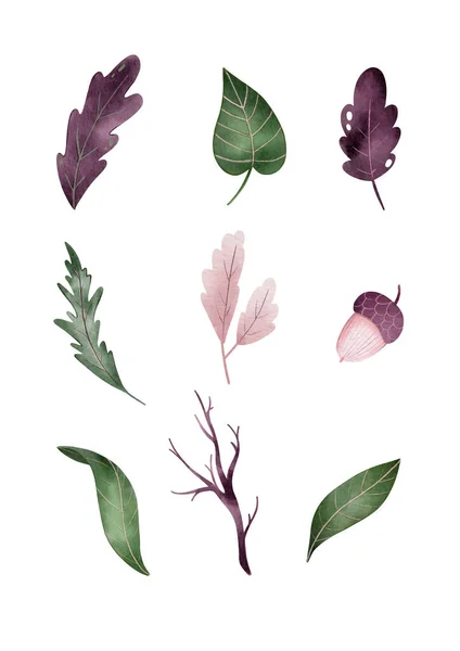 Fall poster for print. Digital watercolor illustration of leaves, branch, acorn.