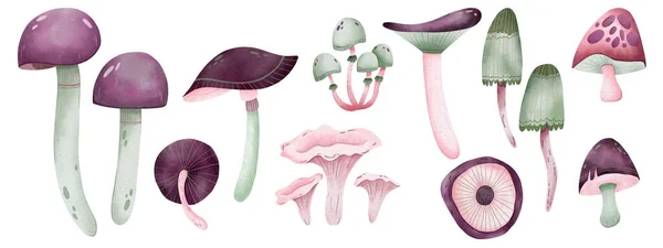 Ein Satz Magischer Pilze Shroom Boom Herbst Digitale Aquarellillustration — Stockfoto