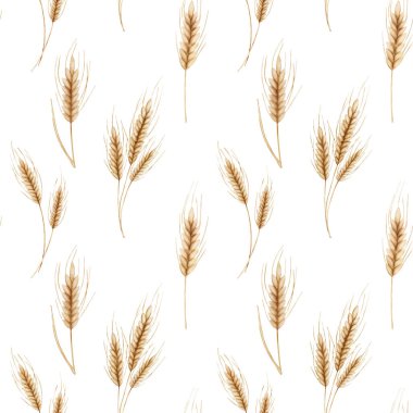 Buğday dijantları dijital suluboya desenli. Buğday filizi, yulaf filizi, baskı, tekstil tasarımı, kağıt.