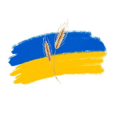 Ukrayna 'da buğday hasadı. Ukrayna 'nın iki kulağı ve bayrağı