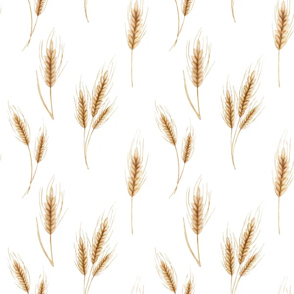 Buğday Dijantları Dijital Suluboya Desenli Buğday Filizi Yulaf Filizi Baskı — Stok fotoğraf