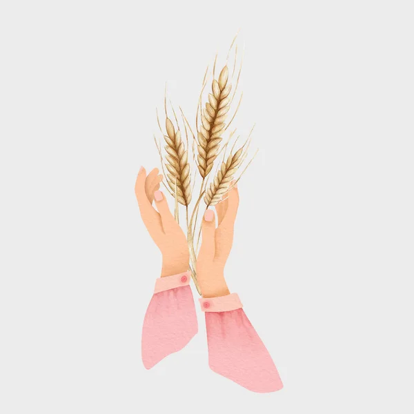 将小麦作为全球饥饿和粮食危机的象征的女性手 谷物收获说明 — 图库照片
