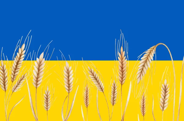 乌克兰国旗背景下的麦穗 胜利的象征 — 图库照片