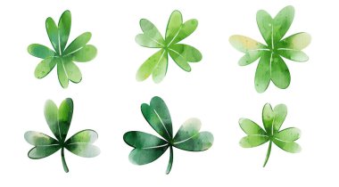Beyaz arka planda izole edilmiş yonca seti, Aziz Patrick Günü 'nün geleneksel şans sembolü. Dijital suluboya çizimi.