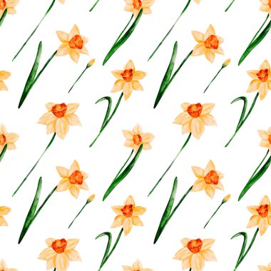 Dekoratif Willow, Watercolor İllüstrasyon İlkbahar Kutlama Kartları İçin Çiçek Açar 