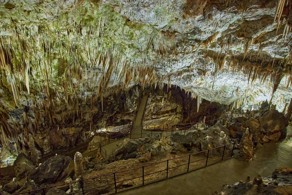 Erkundung Der Wunderschönen Postojna Höhle Slowenien Die Meistbesuchte Europäische Höhle — Stockfoto