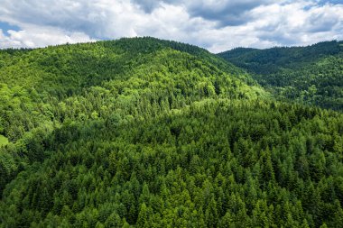 Spania Dolina, Slovakya 'da hava manzarası. Doğa manzarası