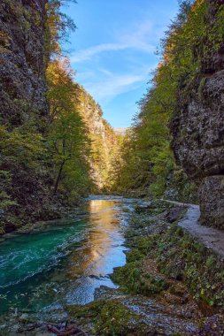 Kanyon vintgar, triglav - Slovenya