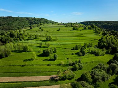 Nature in Hrinova in Slovakia on background