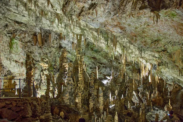 Erkundung Der Wunderschönen Postojna Höhle Slowenien Die Meistbesuchte Europäische Höhle — Stockfoto