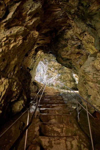 Explorando Bela Caverna Postojna Slovenia Caverna Europeia Mais Visitada — Fotografia de Stock