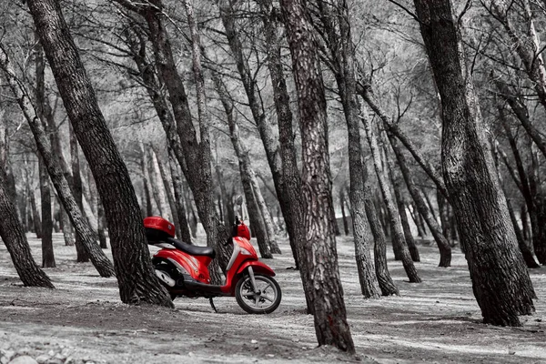 Motocicleta Estacionada Parque — Foto de Stock