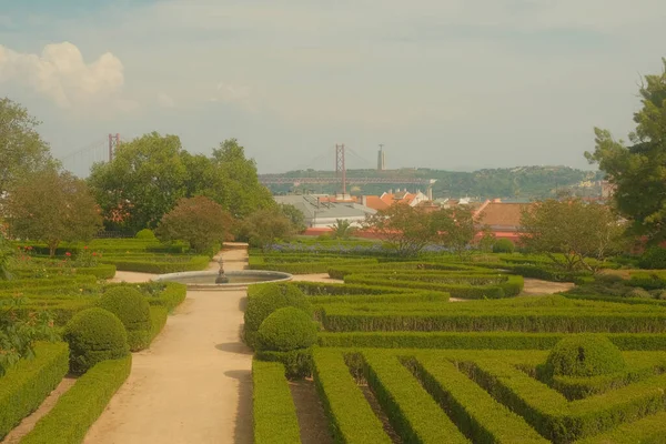 Tranquil City Park Lisbon Portugal Adorned Green Bushes Tall Trees — Stock Photo, Image