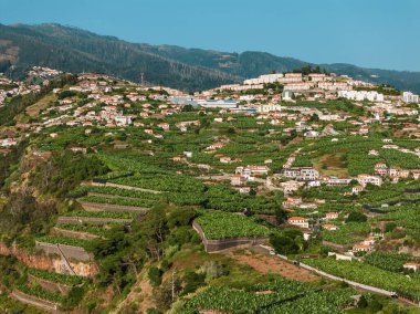 Portekiz, Madeira adasının güzel manzarası 