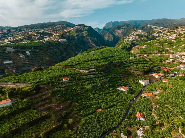 Portekiz, Madeira adasının güzel manzarası 