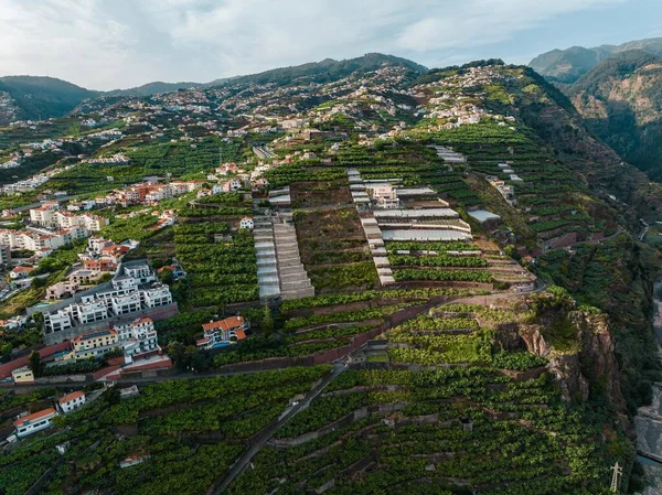 Krásný Výhled Ostrov Madeira Portugalsko — Stock fotografie