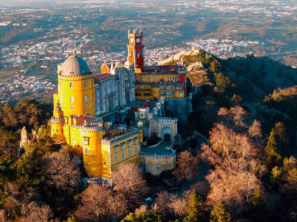 Aerial Drone View Park National Palace Pena Sintra Portugal — Stock Photo, Image