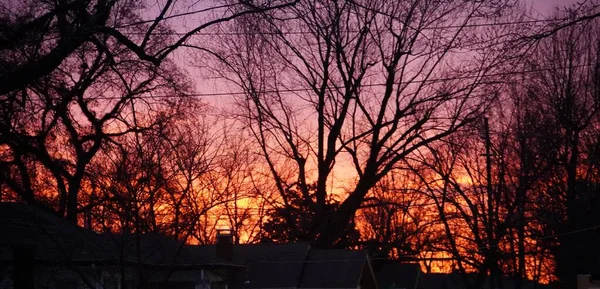 美丽的落日映衬在树的后面 — 图库照片