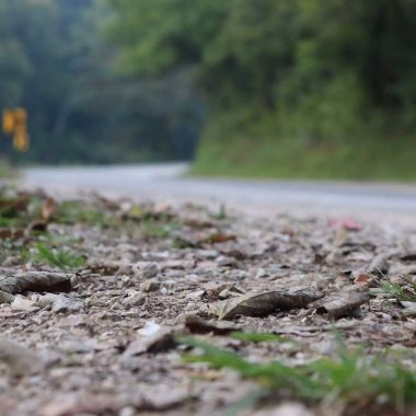 close view of a road sign with a CURVE