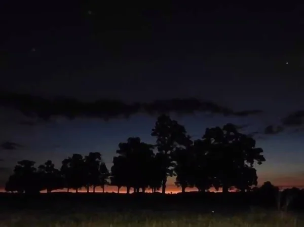 Silhouette Amazing Tree Dark Blue Sky Background — Stock Photo, Image