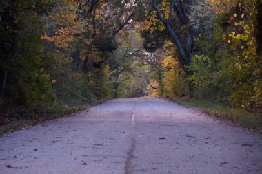 Kelebek güzel kelebek