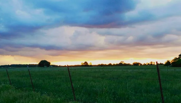 Prachtige Zonsondergang Met Groene Weide Blauwe Lucht — Stockfoto